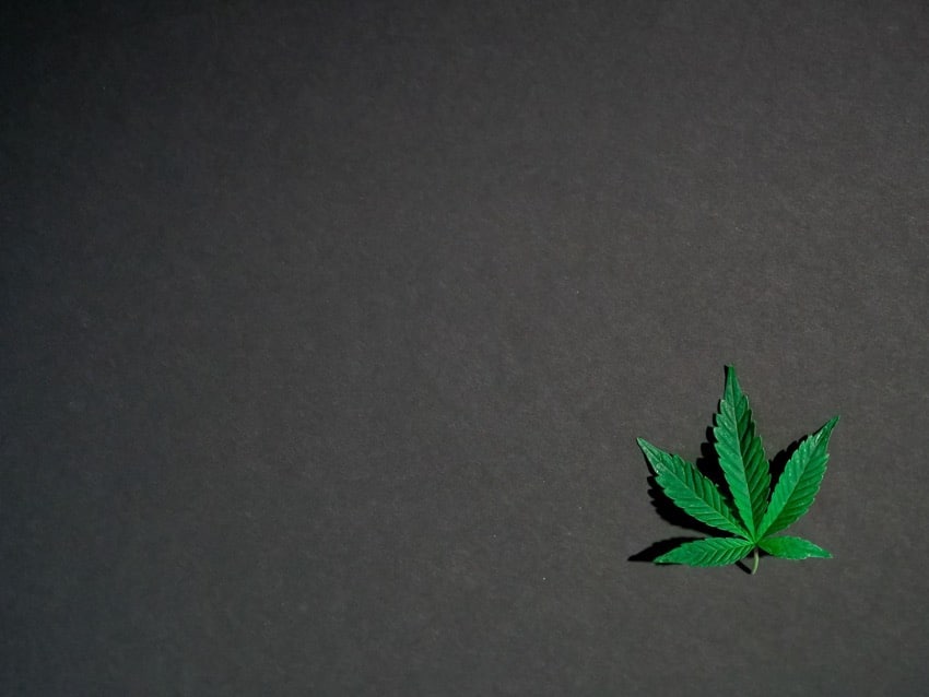 cannabis-seo-keywords-What-is-the-Value-of-Cannabis-SEO-Keywords - UniK SEO