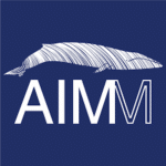 AIMM Portugal SEO Review